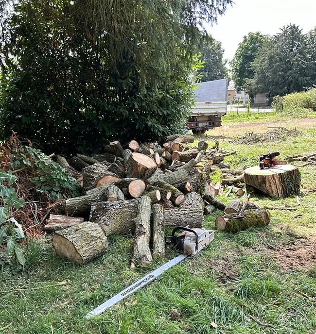 Entretien espace vert Vendôme, Entretien espace vert Sargé-sur-Braye, Entretien espace vert Loir-et-Cher (41)