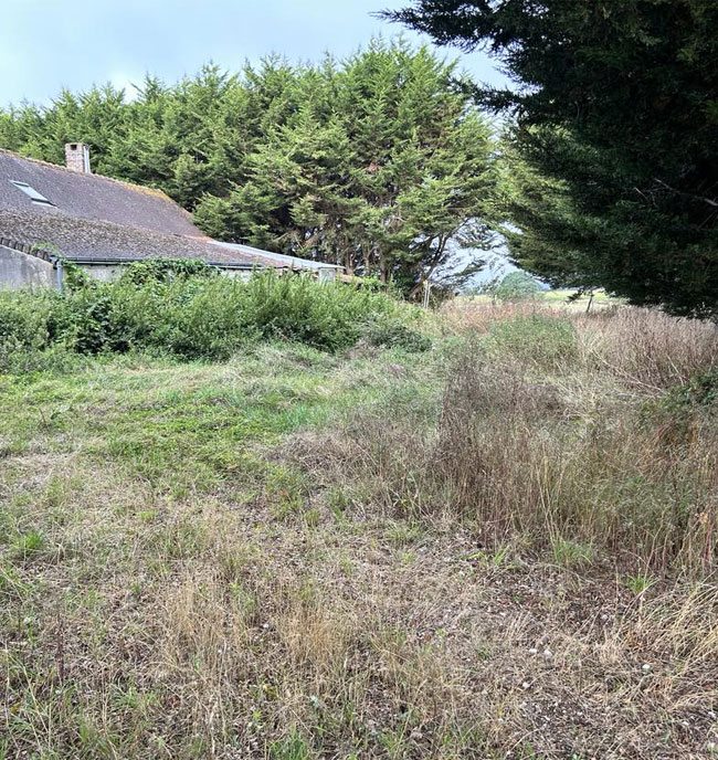 Entretien espace vert Vendôme, Entretien espace vert Sargé-sur-Braye, Entretien espace vert Loir-et-Cher (41)