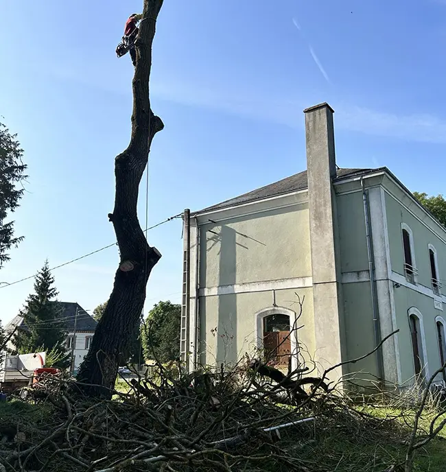 Entretien espace vert Vendôme, Entretien espace vert Sargé-sur-Braye, Entretien espace vert Loir-et-Cher (41)